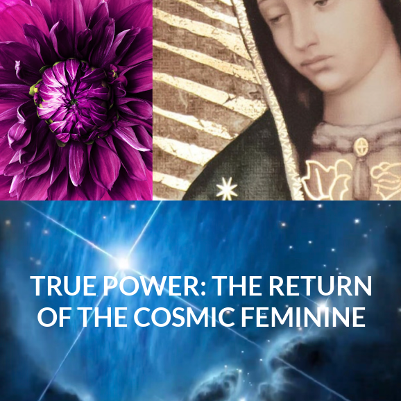 The Final True Power Series of 2026: The Return of the Cosmic Feminine — Zoom meetings for Q&A